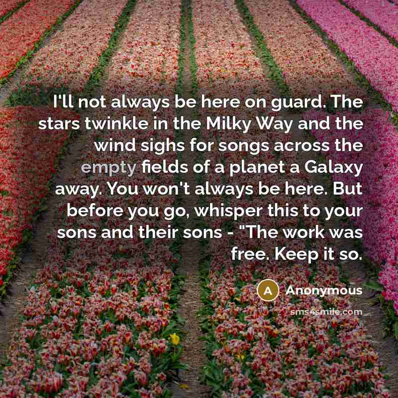“I'll not always be here on guard. The stars twinkle in the Milky Way and the wind sighs for songs across the empty fields of a planet a Galaxy away. You won't always be here. But before you go, whisper this to your sons and their sons - "The work was free. Keep it so.” quote by Anonymous