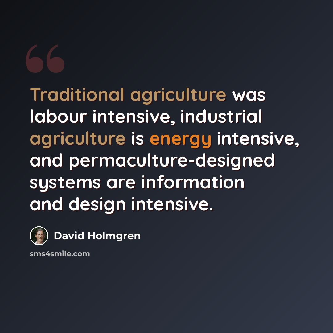 “Traditional agriculture was labour intensive, industrial agriculture is energy intensive, and permaculture-designed systems are information and design intensive.” quote by David Holmgren