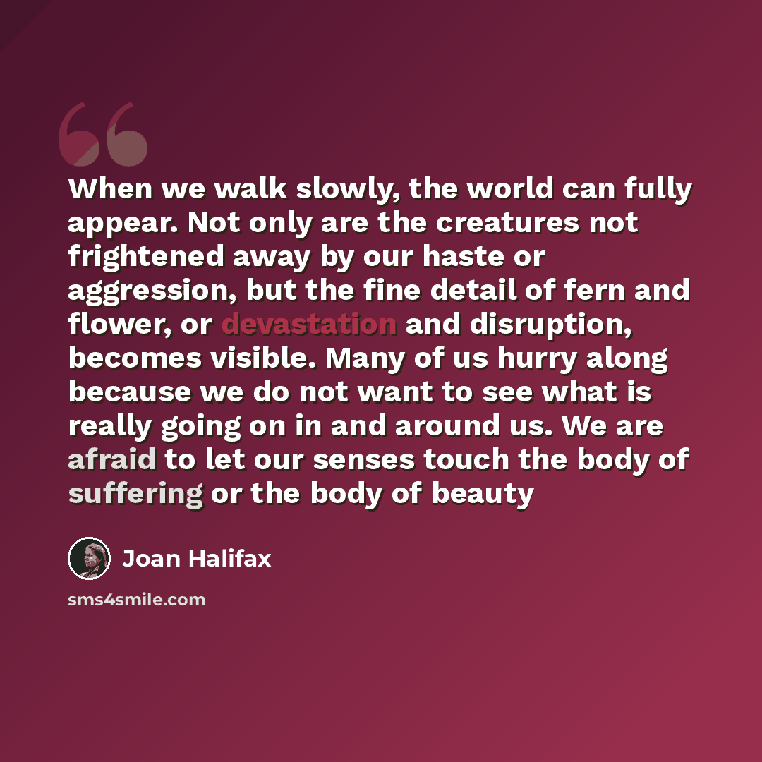 “When we walk slowly, the world can fully appear. Not only are the creatures not frightened away by our haste or aggression, but the fine detail of fern and flower, or devastation and disruption, becomes visible. Many of us hurry along because we do not want to see what is really going on in and…” quote by Joan Halifax