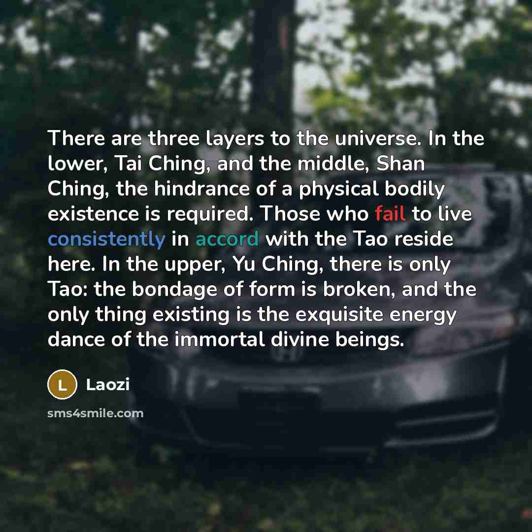 “There are three layers to the universe. In the lower, Tai Ching, and the middle, Shan Ching, the hindrance of a physical bodily existence is required. Those who fail to live consistently in accord with the Tao reside here. In the upper, Yu Ching, there is only Tao: the bondage of form is broken…” quote by Laozi