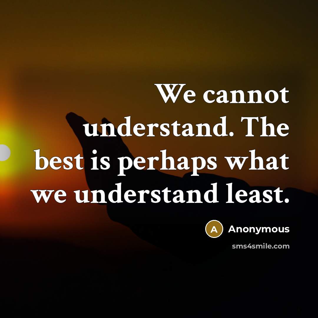 “We cannot understand. The best is perhaps what we understand least.” quote by Anonymous