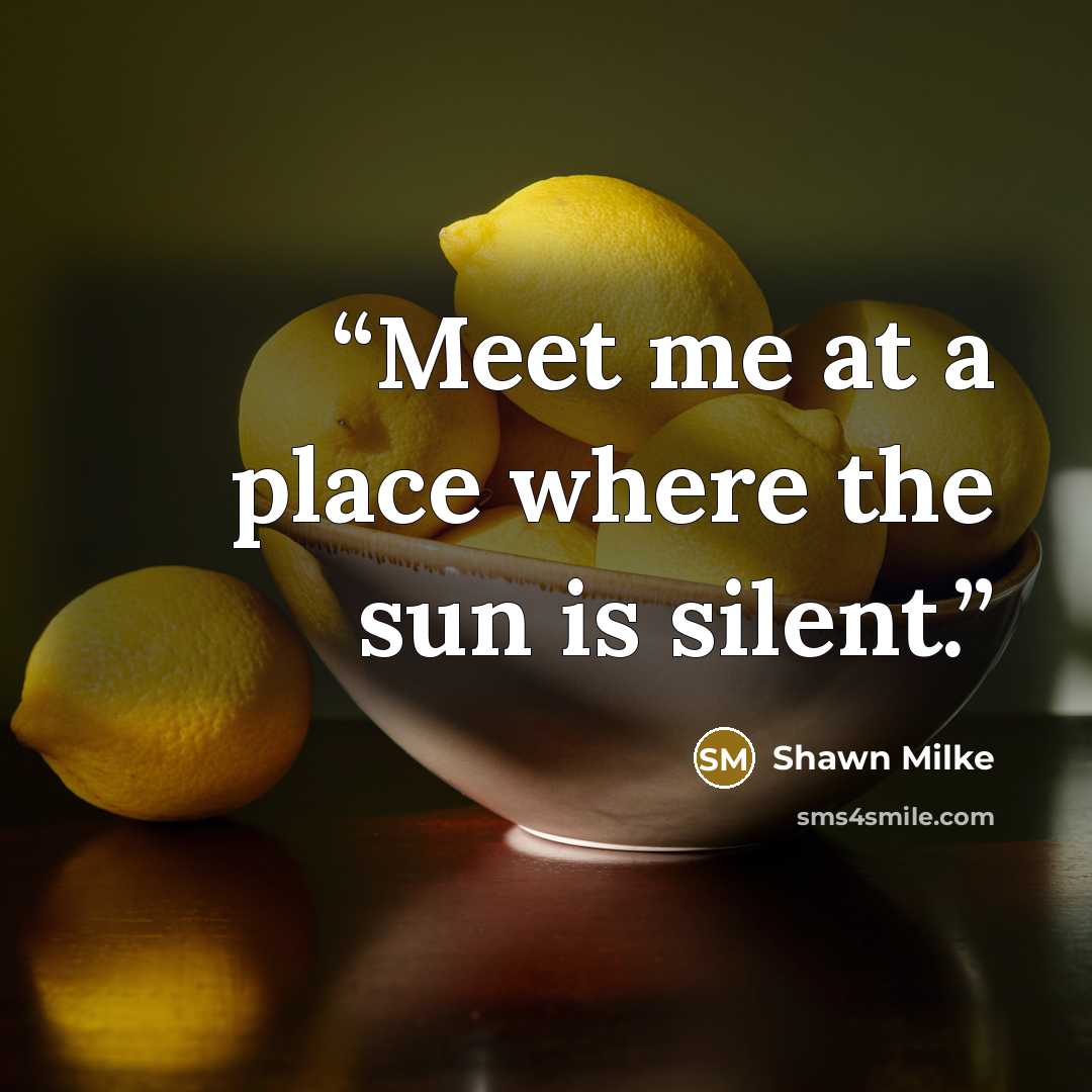 “Meet me at a place where the sun is silent.” quote by Shawn Milke