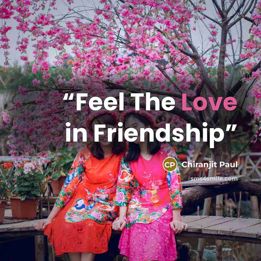 “Feel The Love in Friendship” quote by Chiranjit Paul