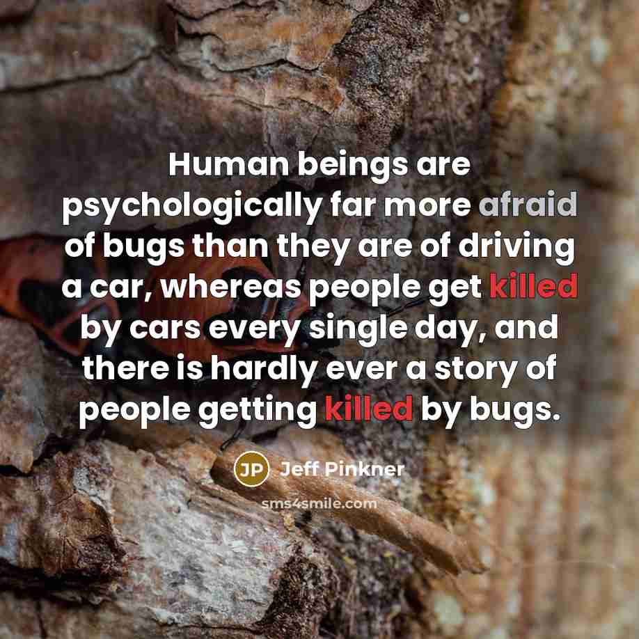 “Human beings are psychologically far more afraid of bugs than they are of driving a car, whereas people get killed by cars every single day, and there is hardly ever a story of people getting killed by bugs.” quote by Jeff Pinkner
