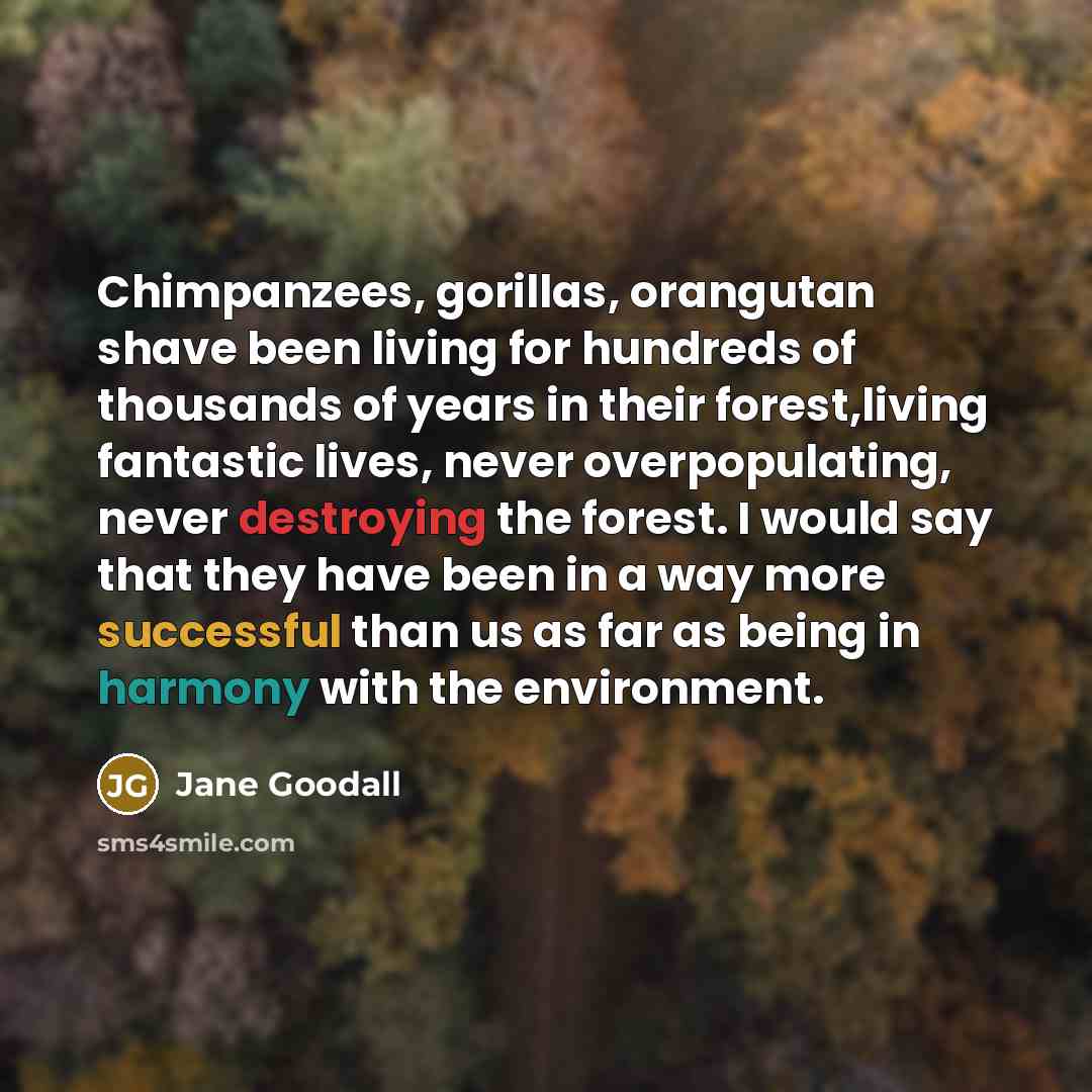 “Chimpanzees, gorillas, orangutan shave been living for hundreds of thousands of years in their forest,living fantastic lives, never overpopulating, never destroying the forest. I would say that they have been in a way more successful than us as far as being in harmony with the environment.” quote by Jane Goodall