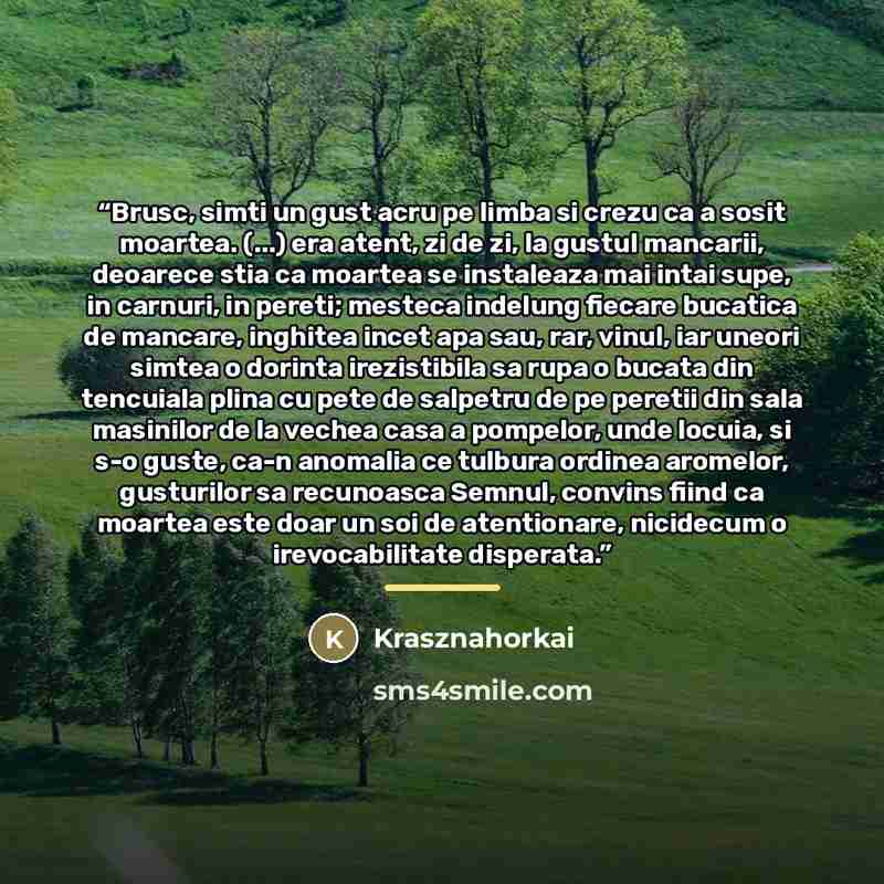 “Brusc, simti un gust acru pe limba si crezu ca a sosit moartea. (...) era atent, zi de zi, la gustul mancarii, deoarece stia ca moartea se instaleaza mai intai supe, in carnuri, in pereti; mesteca indelung fiecare bucatica de mancare, inghitea incet apa sau, rar, vinul, iar uneori simtea o dorinta…” quote by Krasznahorkai