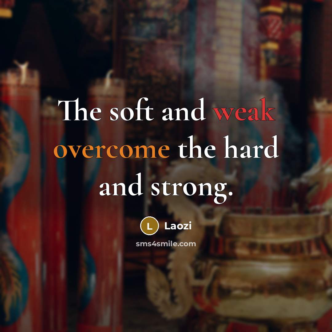 “The soft and weak overcome the hard and strong.” quote by Laozi