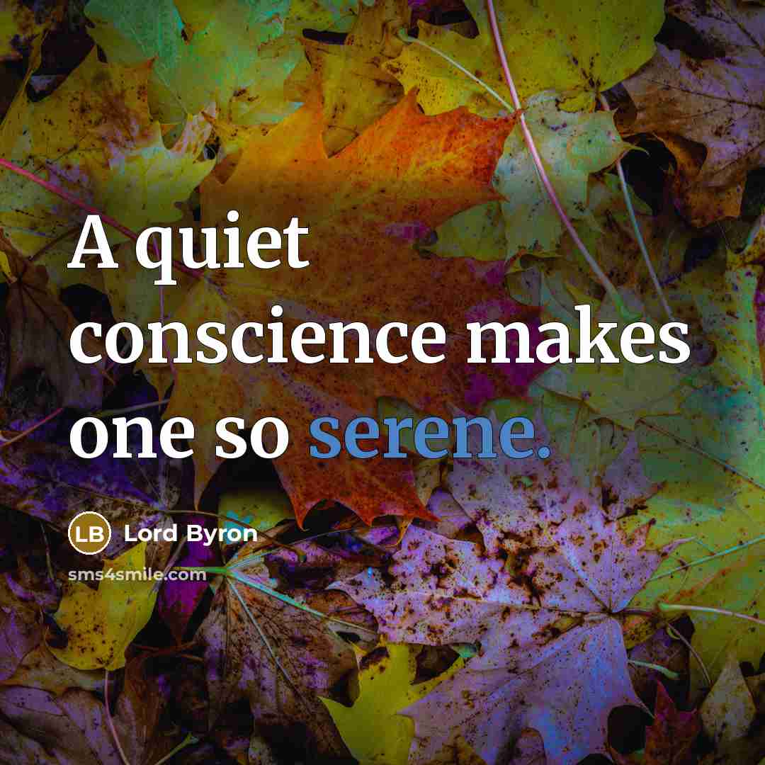 “A quiet conscience makes one so serene.” quote by Lord Byron