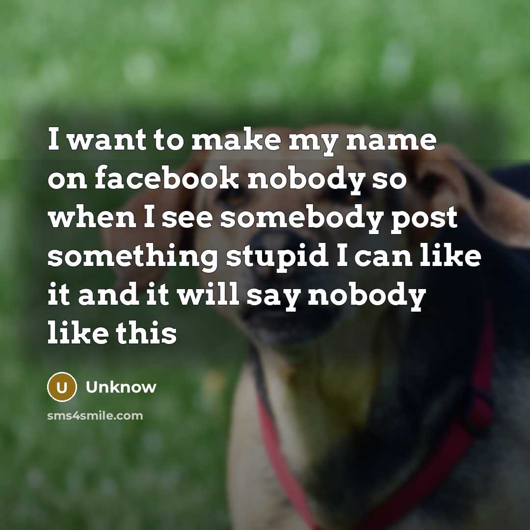 “I want to make my name on facebook nobody so when I see somebody post something stupid I can like it and it will say nobody like this” quote by Unknow