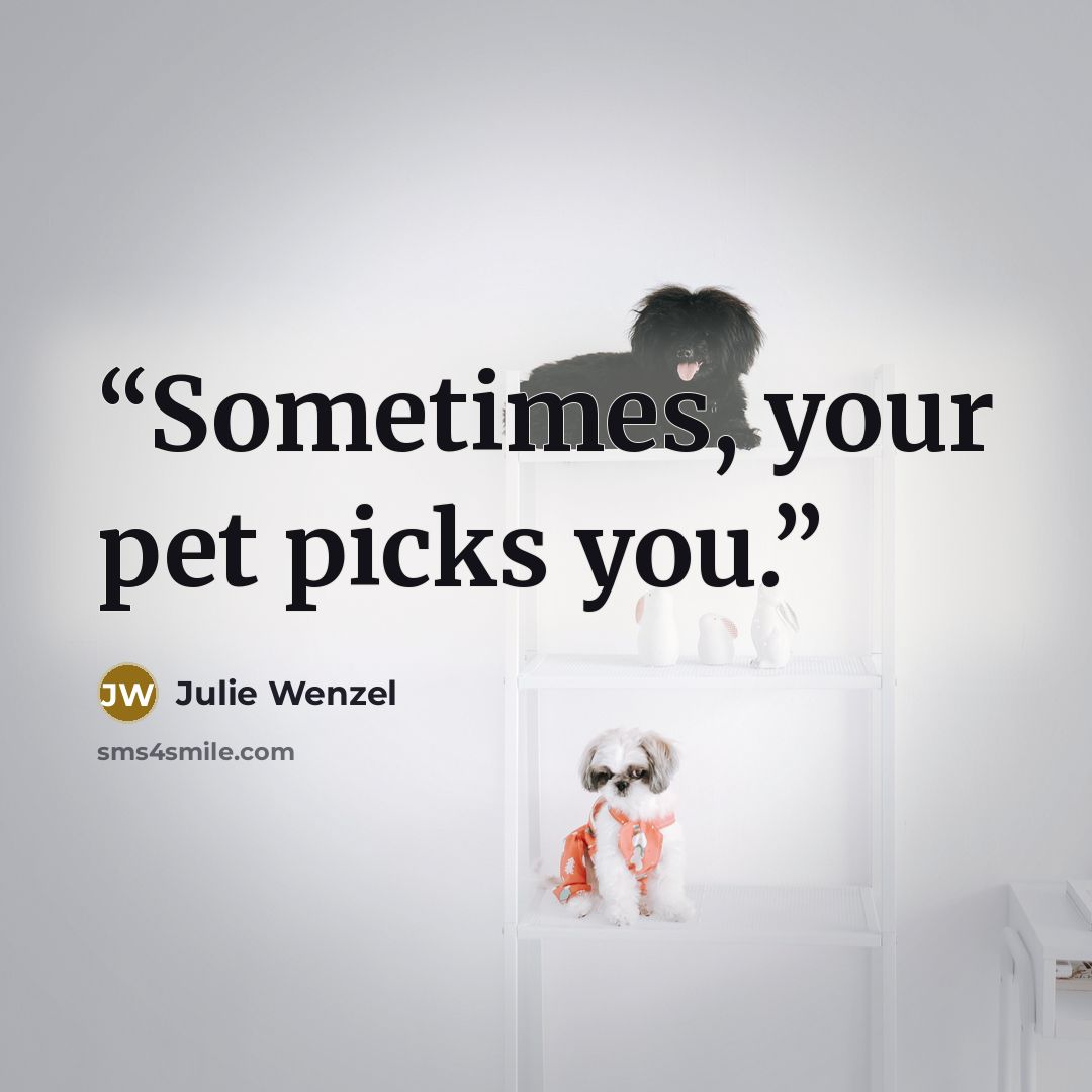 “Sometimes, your pet picks you.” quote by Julie Wenzel