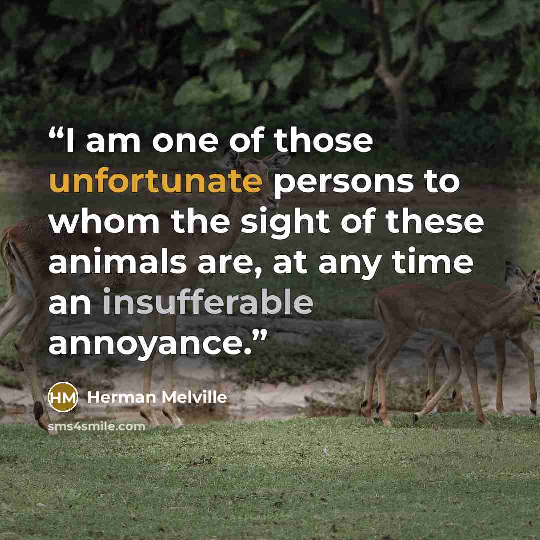 “I am one of those unfortunate persons to whom the sight of these animals are, at any time an insufferable annoyance.” quote by Herman Melville