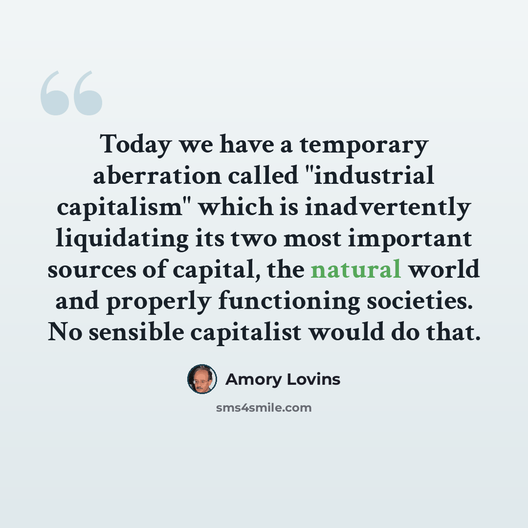 “Today we have a temporary aberration called "industrial capitalism" which is inadvertently liquidating its two most important sources of capital, the natural world and properly functioning societies. No sensible capitalist would do that.” quote by Amory Lovins