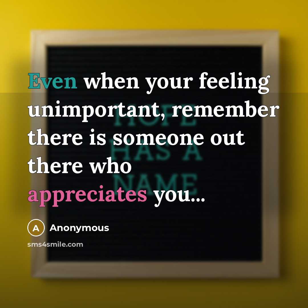 “Even when your feeling unimportant, remember there is someone out there who appreciates you...” quote by Anonymous