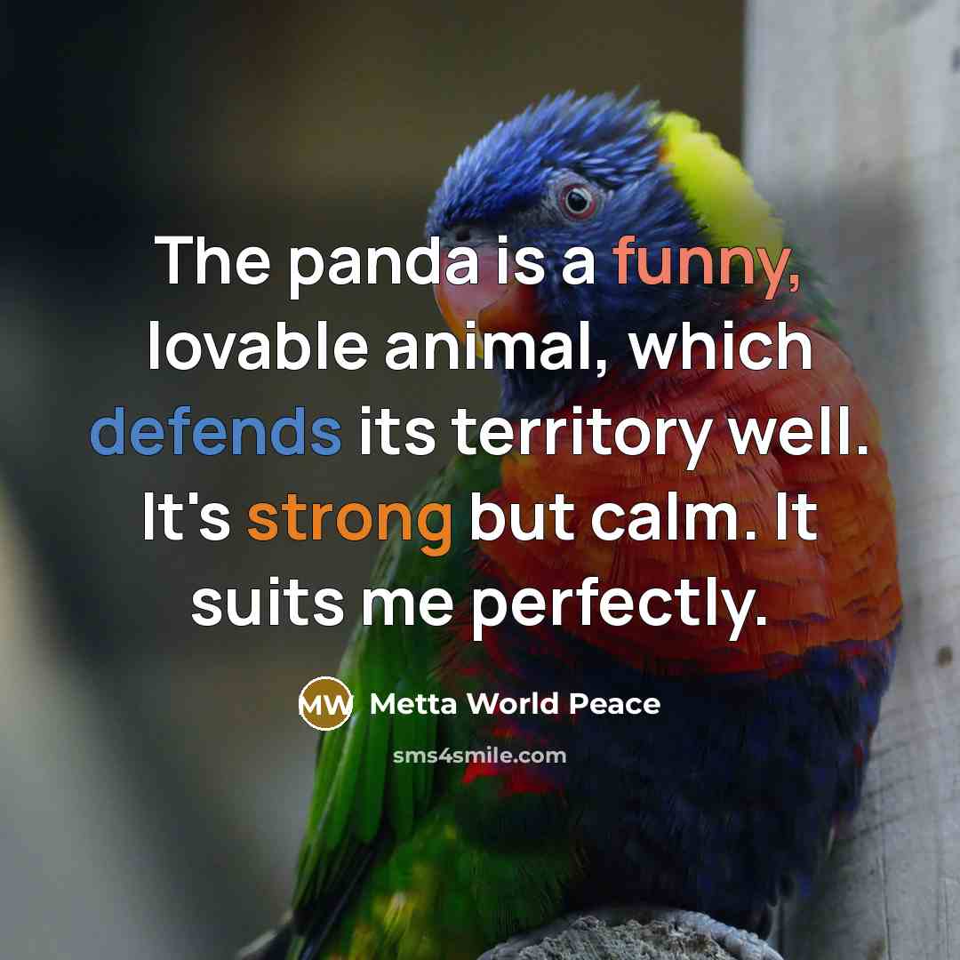 “The panda is a funny, lovable animal, which defends its territory well. It's strong but calm. It suits me perfectly.” quote by Metta World Peace