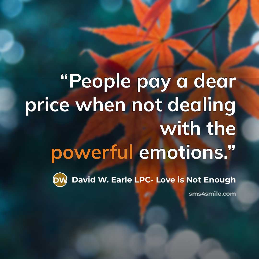 “People pay a dear price when not dealing with the powerful emotions.” quote by David W. Earle LPC- Love is Not Enough