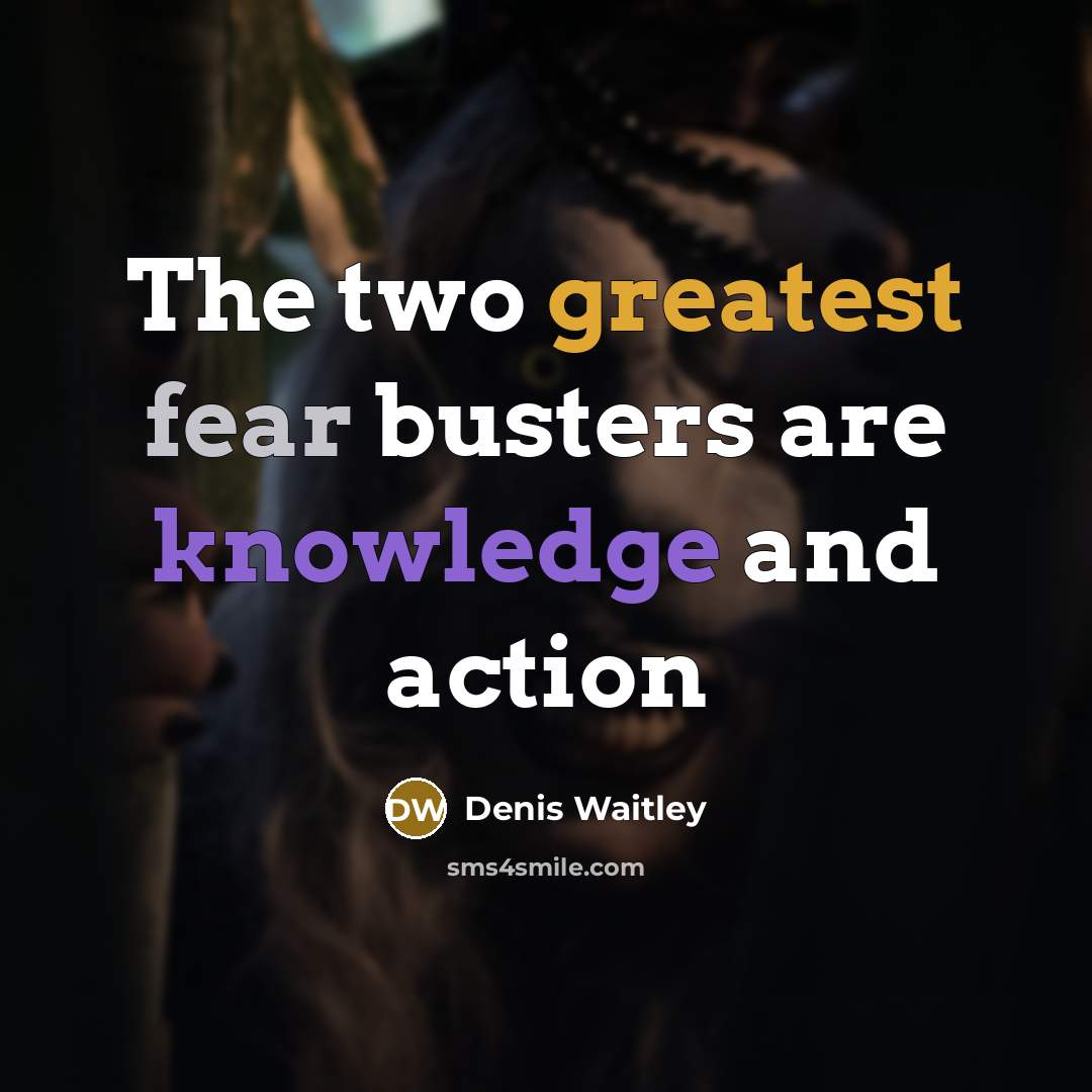 “The two greatest fear busters are knowledge and action” quote by Denis Waitley