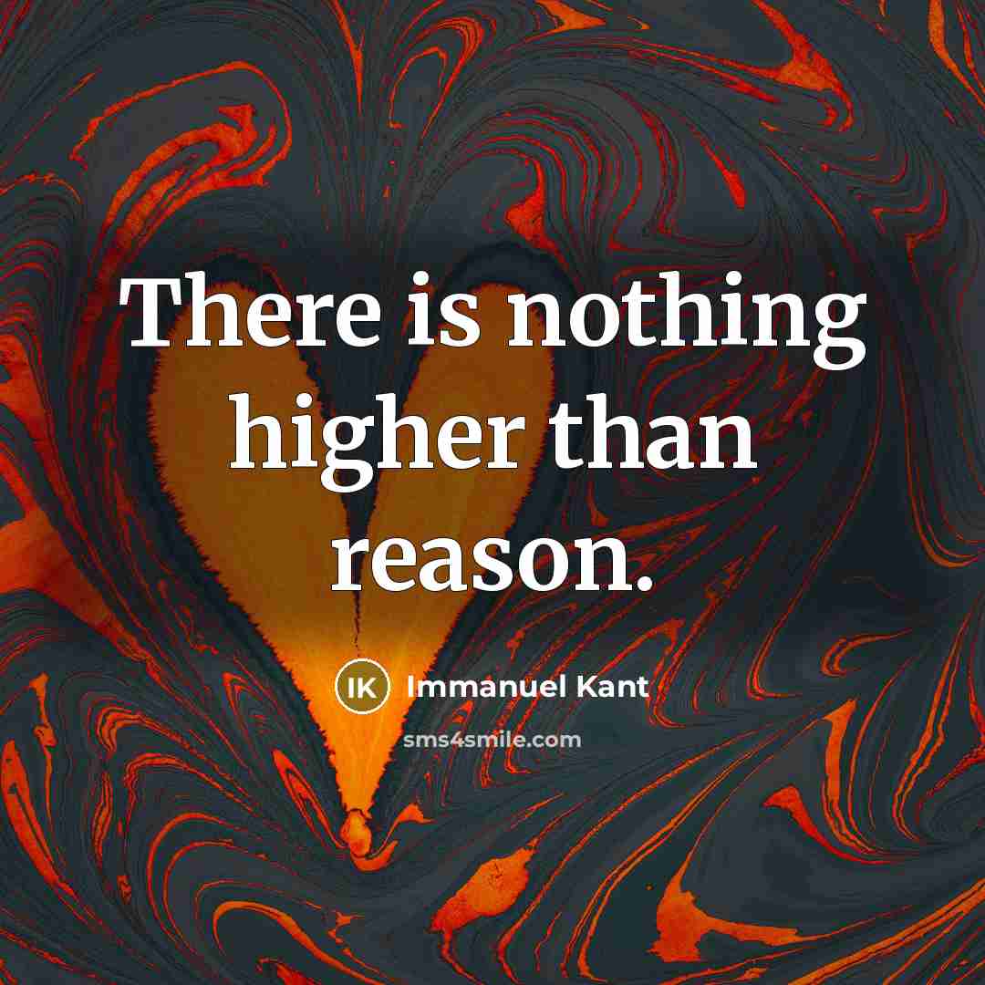 “There is nothing higher than reason.” quote by Immanuel Kant