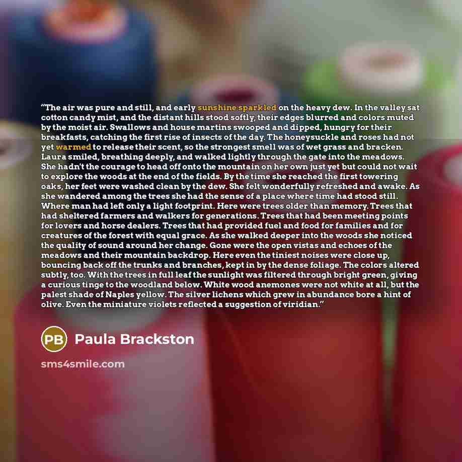 “The air was pure and still, and early sunshine sparkled on the heavy dew. In the valley sat cotton candy mist, and the distant hills stood softly, their edges blurred and colors muted by the moist air. Swallows and house martins swooped and dipped, hungry for their breakfasts, catching the first…” quote by Paula Brackston
