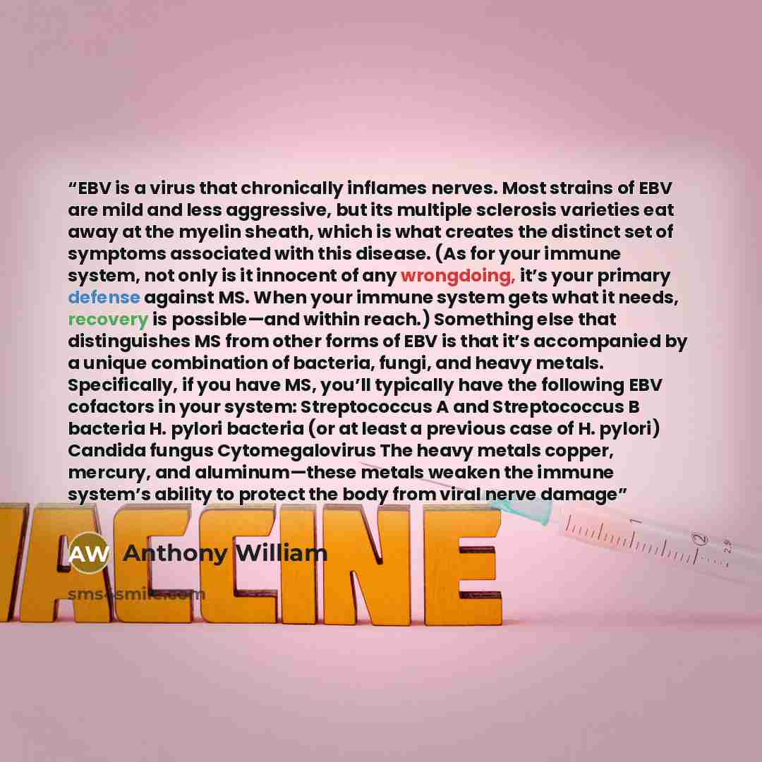 “EBV is a virus that chronically inflames nerves. Most strains of EBV are mild and less aggressive, but its multiple sclerosis varieties eat away at the myelin sheath, which is what creates the distinct set of symptoms associated with this disease. (As for your immune system, not only is it…” quote by Anthony William