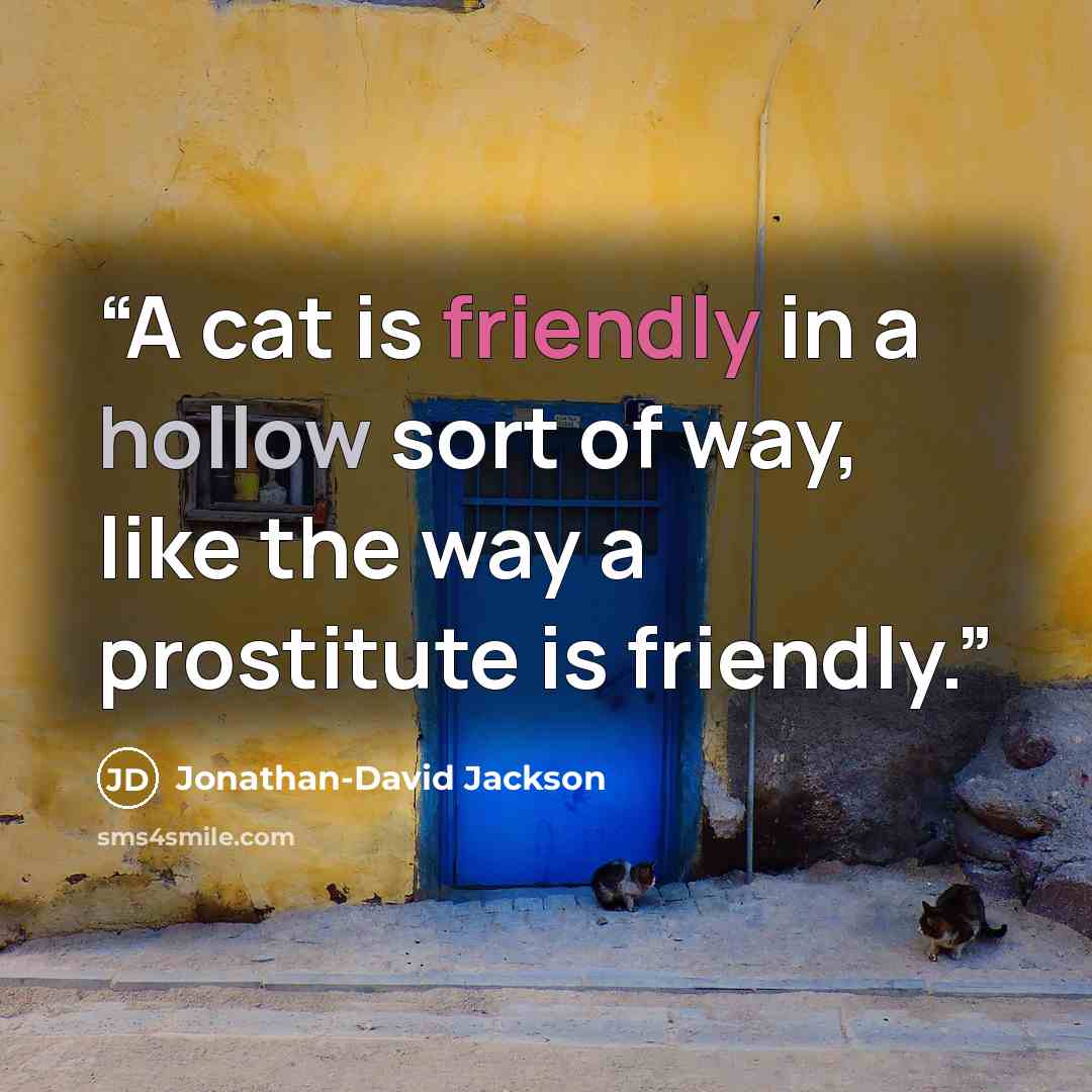 “A cat is friendly in a hollow sort of way, like the way a prostitute is friendly.” quote by Jonathan-David Jackson