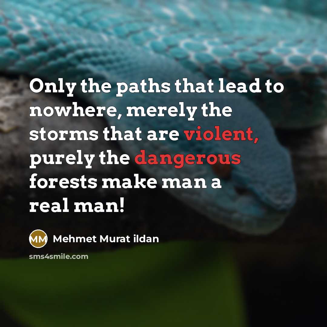 “Only the paths that lead to nowhere, merely the storms that are violent, purely the dangerous forests make man a real man!” quote by Mehmet Murat Ildan