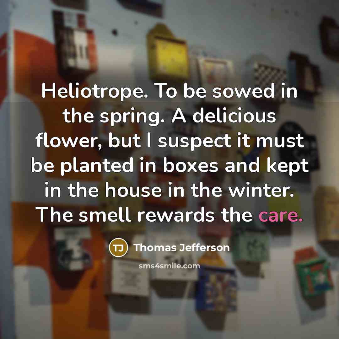 “Heliotrope. To be sowed in the spring. A delicious flower, but I suspect it must be planted in boxes and kept in the house in the winter. The smell rewards the care.” quote by Thomas Jefferson