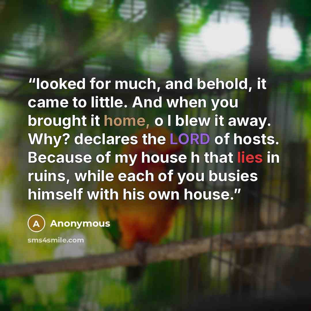 “looked for much, and behold, it came to little. And when you brought it home, o I blew it away. Why? declares the LORD of hosts. Because of my house h that lies in ruins, while each of you busies himself with his own house.” quote by Anonymous