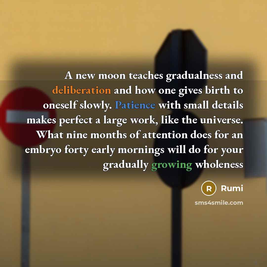 “A new moon teaches gradualness and deliberation and how one gives birth to oneself slowly. Patience with small details makes perfect a large work, like the universe. What nine months of attention does for an embryo forty early mornings will do for your gradually growing wholeness” quote by Rumi