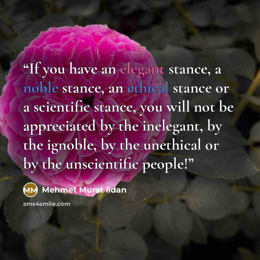 “If you have an elegant stance, a noble stance, an ethical stance or a scientific stance, you will not be appreciated by the inelegant, by the ignoble, by the unethical or by the unscientific people!” quote by Mehmet Murat ildan