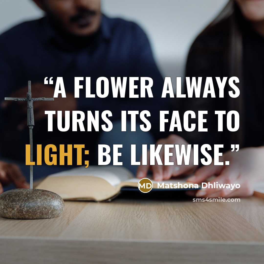 “A flower always turns its face to light; be likewise.” quote by Matshona Dhliwayo