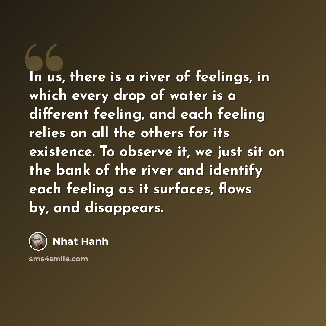 “In us, there is a river of feelings, in which every drop of water is a different feeling, and each feeling relies on all the others for its existence. To observe it, we just sit on the bank of the river and identify each feeling as it surfaces, flows by, and disappears.” quote by Nhat Hanh