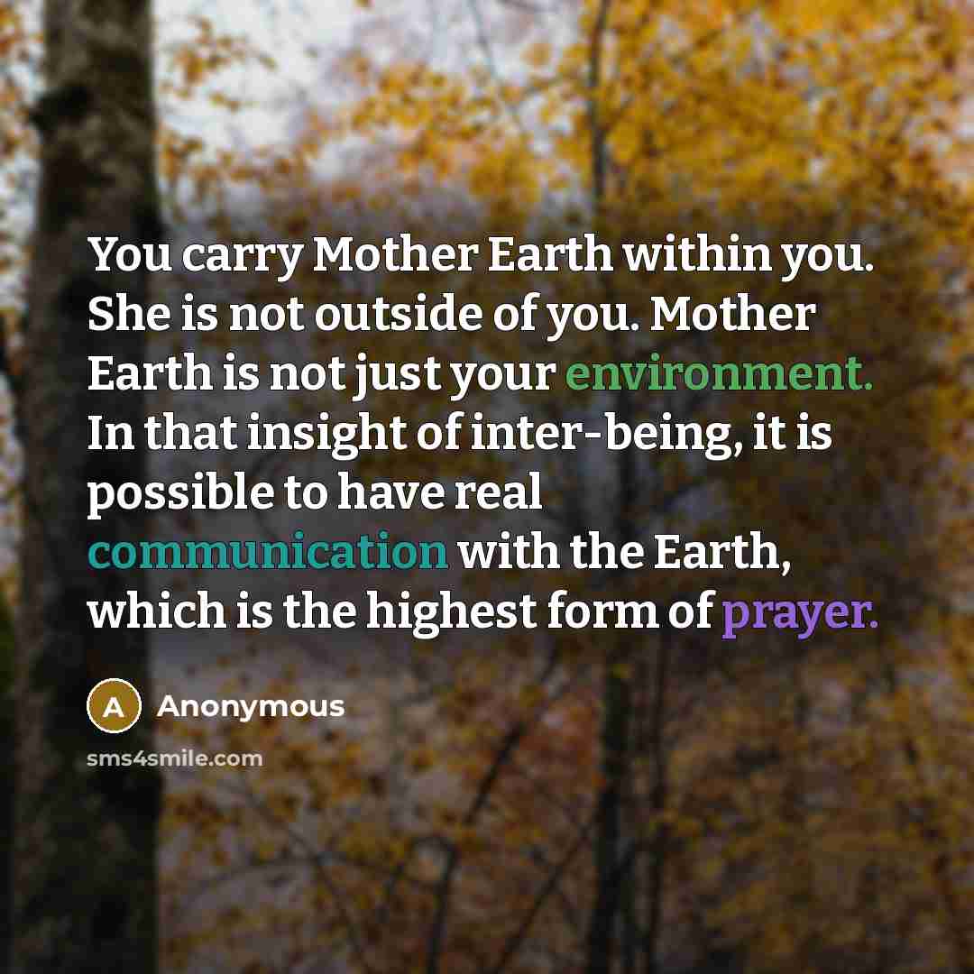 “You carry Mother Earth within you. She is not outside of you. Mother Earth is not just your environment. In that insight of inter-being, it is possible to have real communication with the Earth, which is the highest form of prayer.” quote by Anonymous