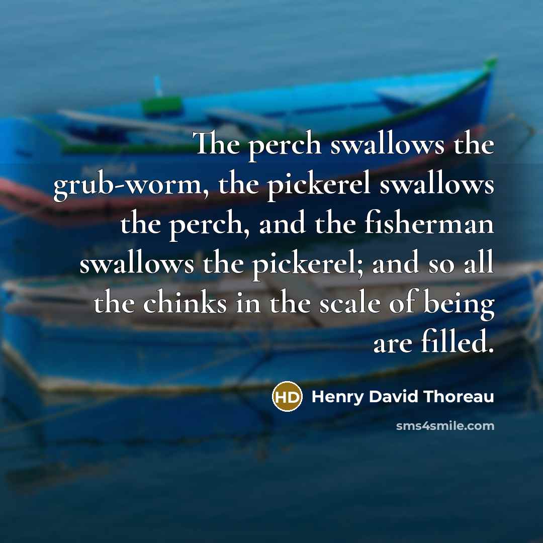 “The perch swallows the grub-worm, the pickerel swallows the perch, and the fisherman swallows the pickerel; and so all the chinks in the scale of being are filled.” quote by Henry David Thoreau