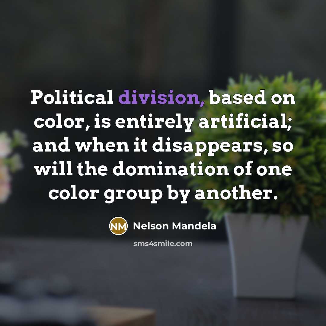 “Political division, based on color, is entirely artificial; and when it disappears, so will the domination of one color group by another.” quote by Nelson Mandela