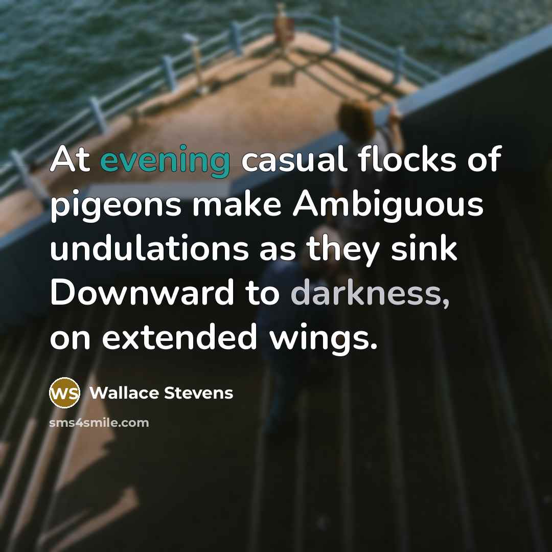“At evening casual flocks of pigeons make Ambiguous undulations as they sink Downward to darkness, on extended wings.” quote by Wallace Stevens