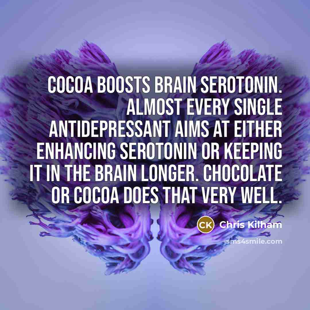 “Cocoa boosts brain serotonin. Almost every single antidepressant aims at either enhancing serotonin or keeping it in the brain longer. Chocolate or cocoa does that very well.” quote by Chris Kilham