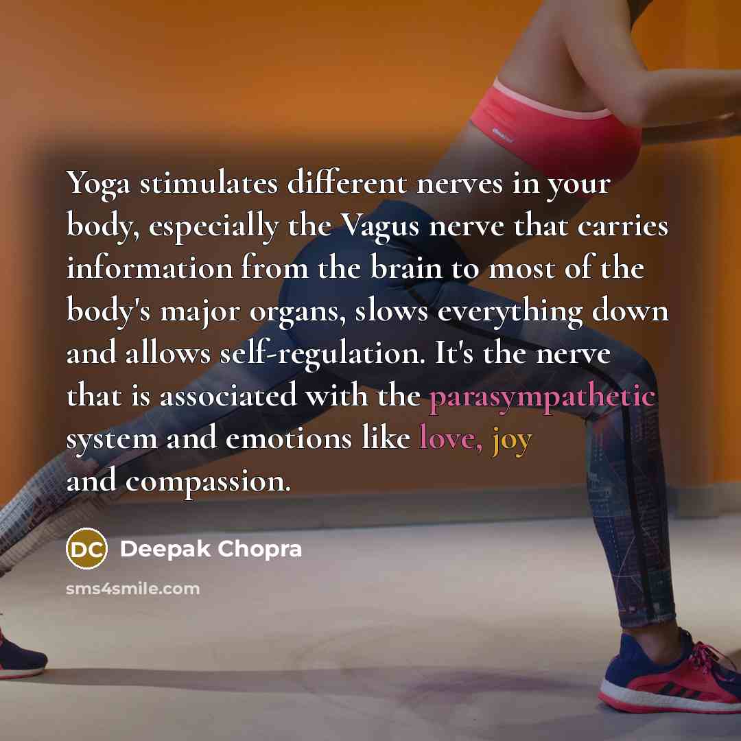 “Yoga stimulates different nerves in your body, especially the Vagus nerve that carries information from the brain to most of the body's major organs, slows everything down and allows self-regulation. It's the nerve that is associated with the parasympathetic system and emotions like love, joy and…” quote by Deepak Chopra