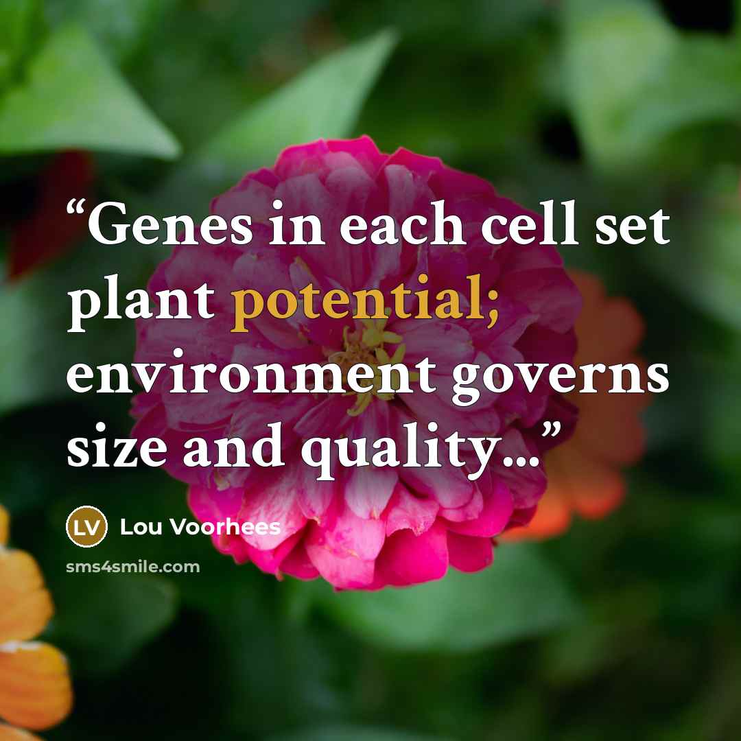 “Genes in each cell set plant potential; environment governs size and quality...” quote by Lou Voorhees
