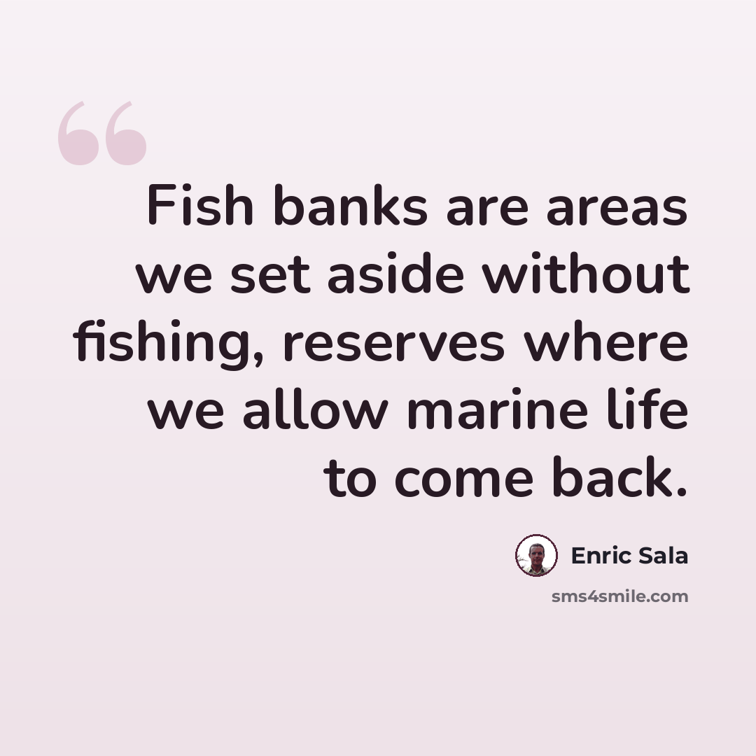 “Fish banks are areas we set aside without fishing, reserves where we allow marine life to come back.” quote by Enric Sala