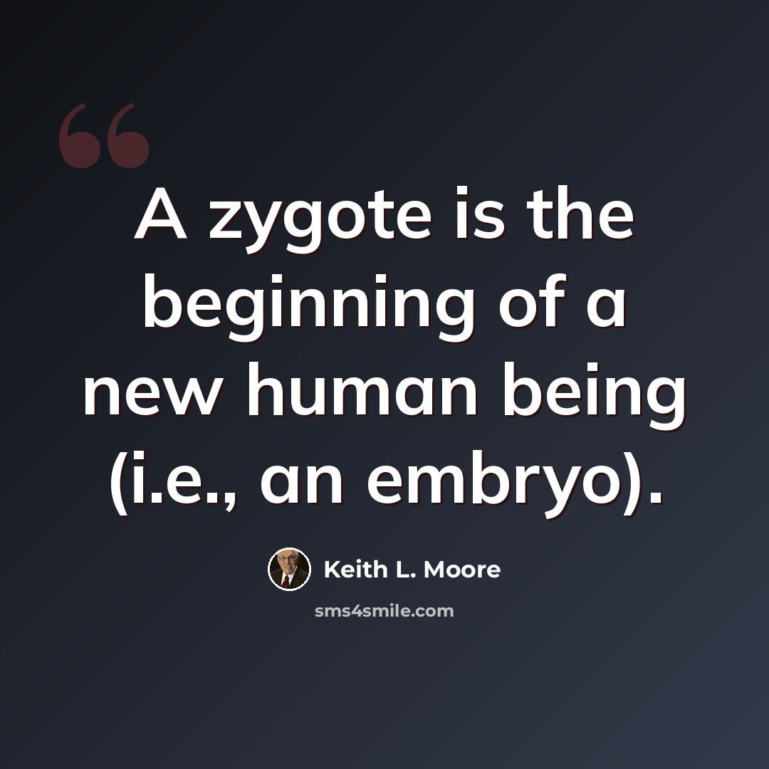 “A zygote is the beginning of a new human being (i.e., an embryo).” quote by Keith L. Moore