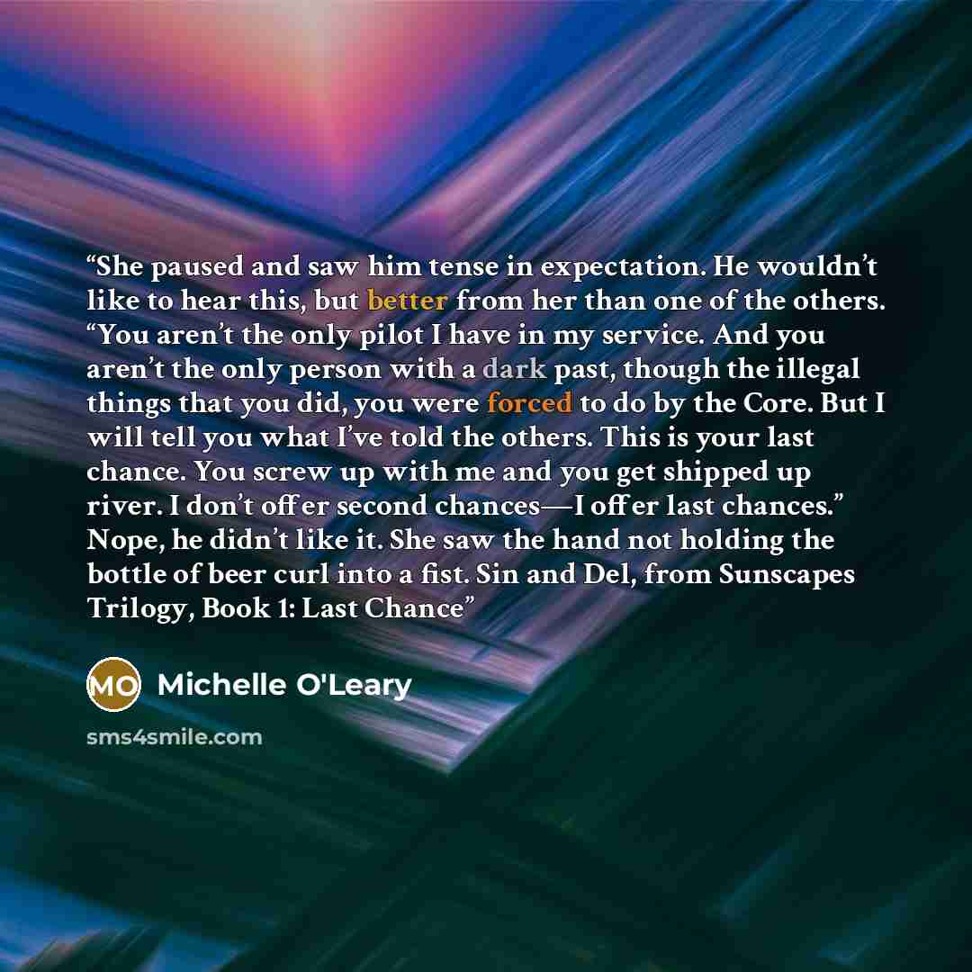 “She paused and saw him tense in expectation. He wouldn’t like to hear this, but better from her than one of the others. “You aren’t the only pilot I have in my service. And you aren’t the only person with a dark past, though the illegal things that you did, you were forced to do by the Core. But I…” quote by Michelle O'Leary