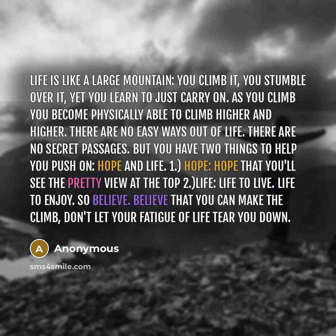“Life is like a large mountain: You climb it, you stumble over it, yet you learn to just carry on. As you climb you become physically able to climb higher and higher. There are no easy ways out of life. there are no secret passages. But you have two things to help you push on: Hope and life. 1.)…” quote by Anonymous
