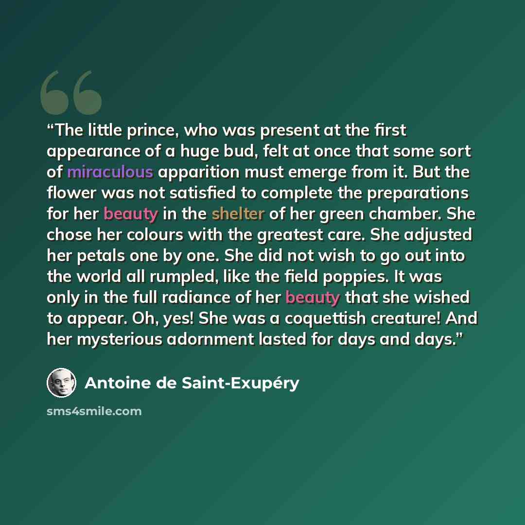 “The little prince, who was present at the ﬁrst appearance of a huge bud, felt at once that some sort of miraculous apparition must emerge from it. But the ﬂower was not satisﬁed to complete the preparations for her beauty in the shelter of her green chamber. She chose her colours with the greatest…” quote by Antoine de Saint-Exupéry