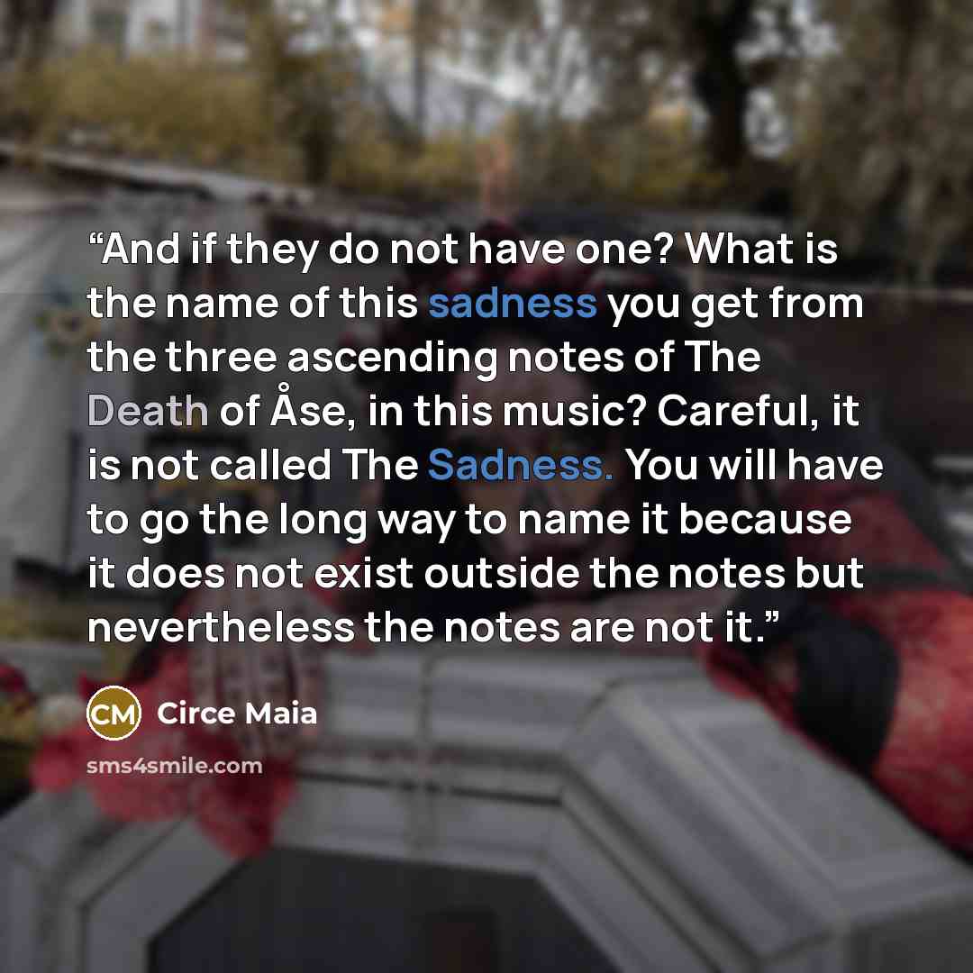 “And if they do not have one? What is the name of this sadness you get from the three ascending notes of The Death of Åse, in this music? Careful, it is not called The Sadness. You will have to go the long way to name it because it does not exist outside the notes but nevertheless the notes are not…” quote by Circe Maia