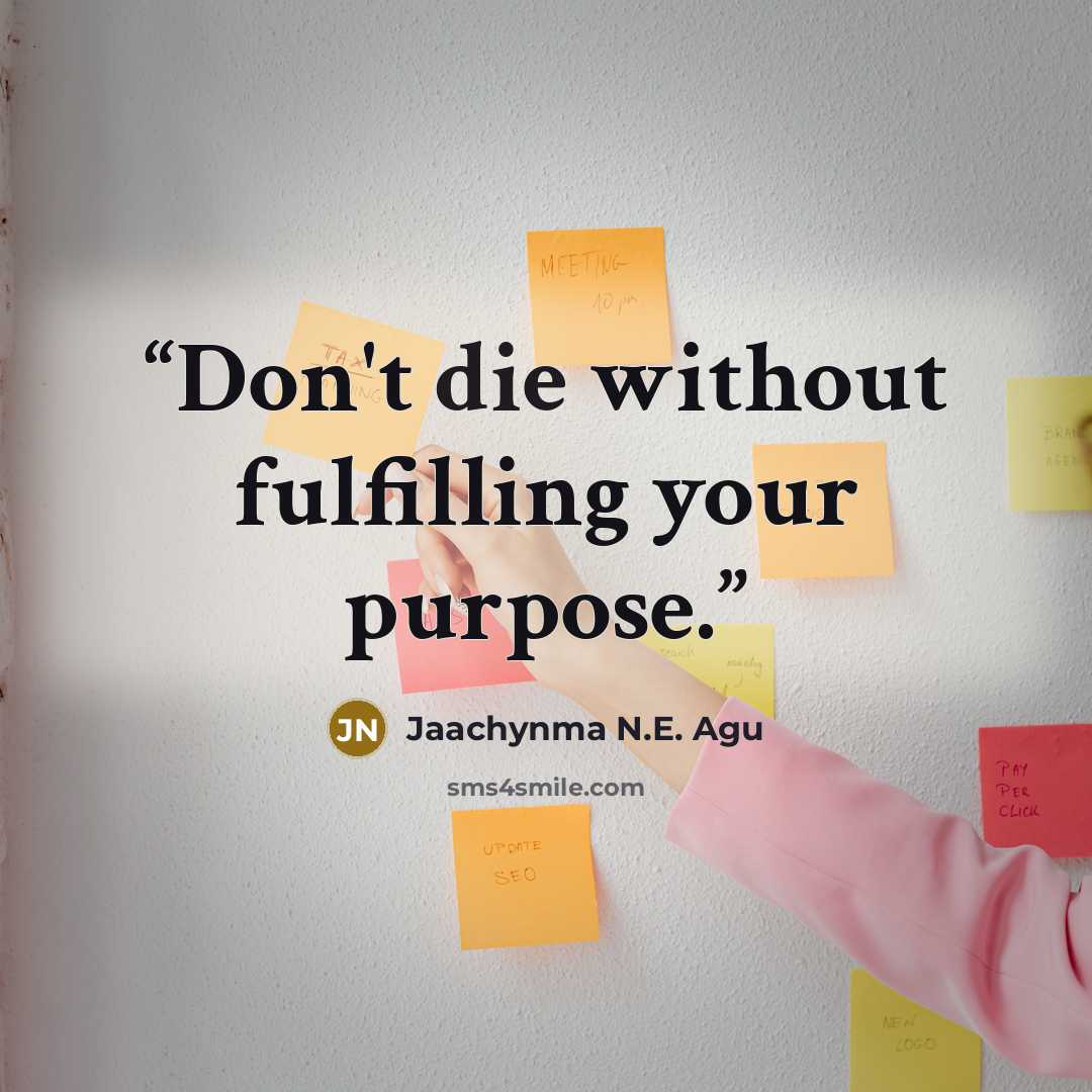 “Don't die without fulfilling your purpose.” quote by Jaachynma N.E. Agu