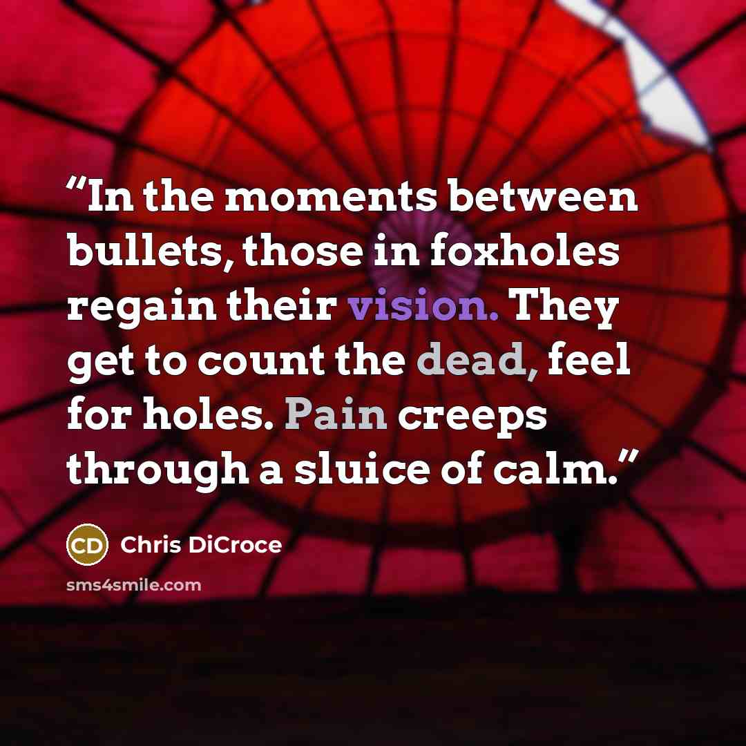 “In the moments between bullets, those in foxholes regain their vision. They get to count the dead, feel for holes. Pain creeps through a sluice of calm.” quote by Chris DiCroce