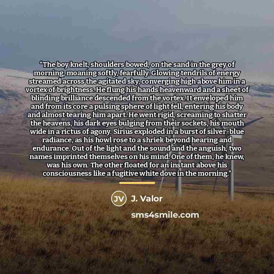 “The boy knelt, shoulders bowed, on the sand in the grey of morning, moaning softly, fearfully. Glowing tendrils of energy streamed across the agitated sky, converging high above him in a vortex of brightness. He flung his hands heavenward and a sheet of blinding brilliance descended from the…” quote by J. Valor