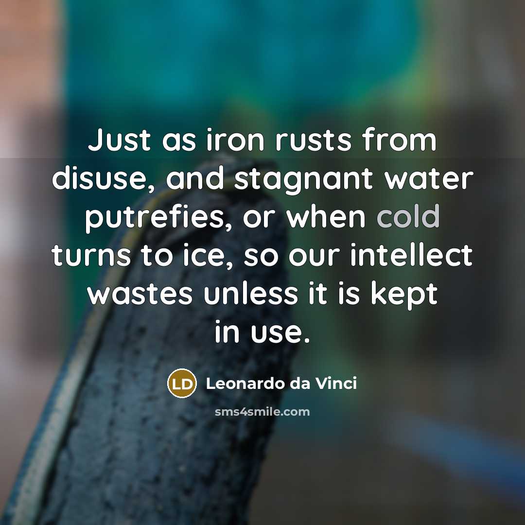 “Just as iron rusts from disuse, and stagnant water putrefies, or when cold turns to ice, so our intellect wastes unless it is kept in use.” quote by Leonardo da Vinci