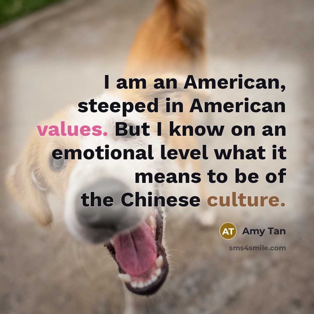 “I am an American, steeped in American values. But I know on an emotional level what it means to be of the Chinese culture.” quote by Amy Tan