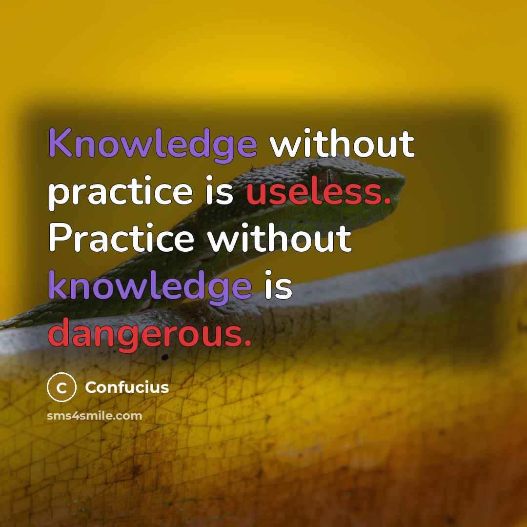 “Knowledge without practice is useless. Practice without knowledge is dangerous.” quote by Confucius